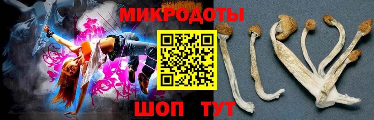 Псилоцибиновые грибы Psilocybine cubensis Благодарный