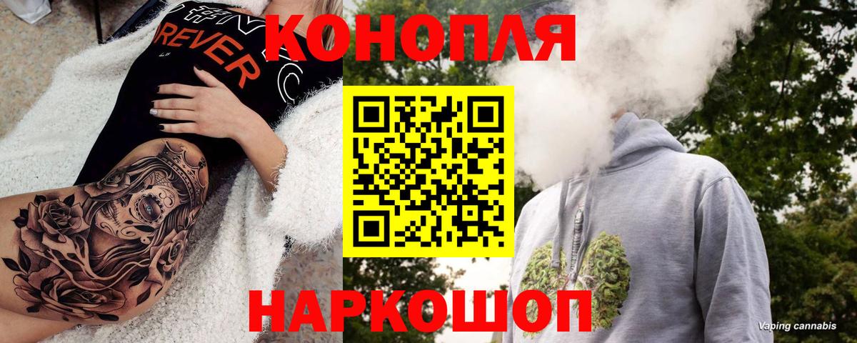 Каннабис сатива  Бошки марихуана планчик  Благодарный  Вход с VPN 